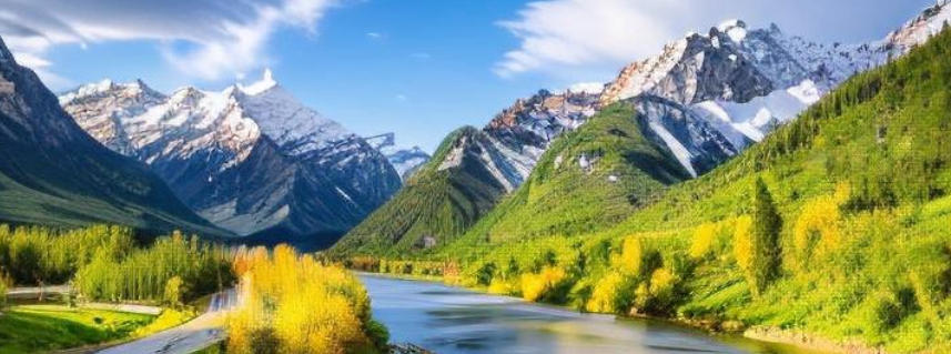 湖南肆叁壹壹贰陆商贸有限公司轮播图2